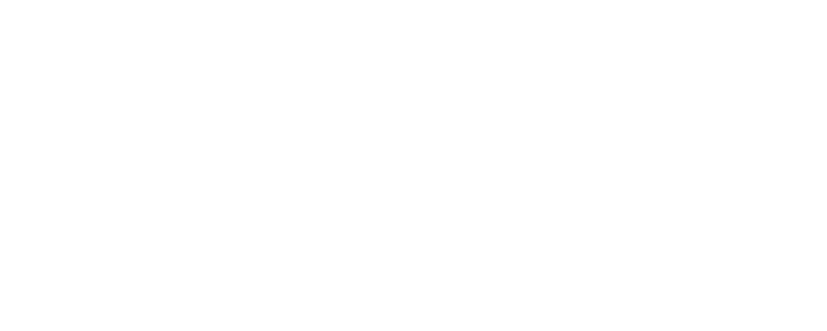 hangsmart logo