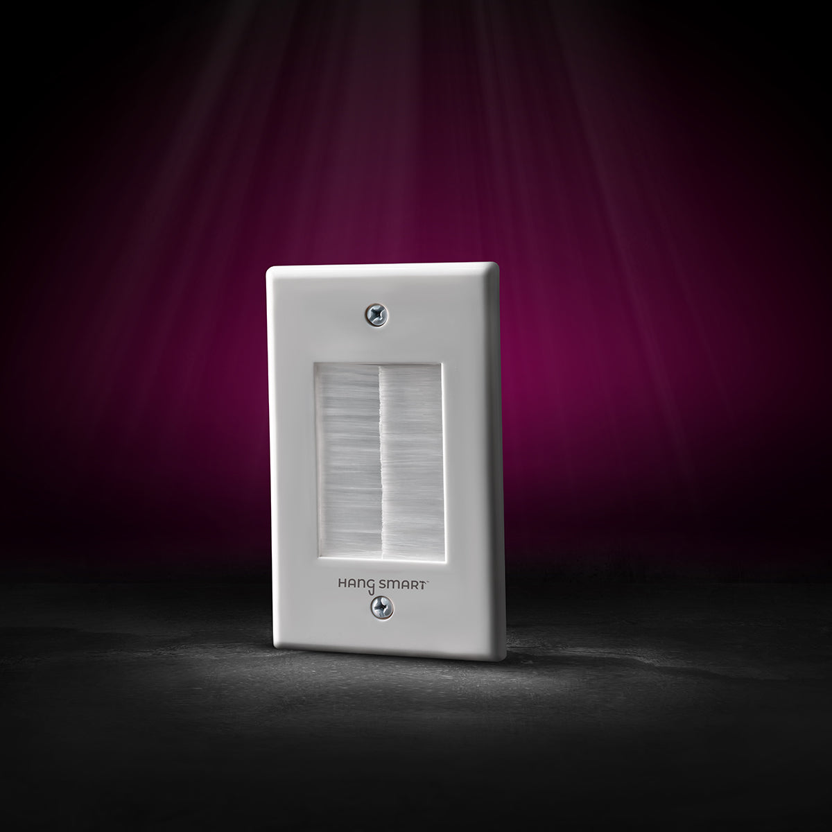 hangsmart wire concealer wall plate